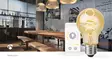 SmartLife LED vintage lampa | E27 | 360 lm | 4.90 W | Varm till cool vit | 1800 - 6500 K | Glas | Android / IOS | Glödlampa | 1 st. - Ljuskällor - 5412810335398 - 90