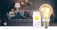 SmartLife LED vintage lampa | E27 | 806 lm | 7 W | Varm Vit | 1800 - 3000 K | Glas | Android / IOS | Glödlampa | 1 st. - Ljuskällor - 5412810335428 - 90