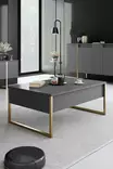 Vardagsrumsmöbelset Hanah Home Luxe Antracit Guld Spånskiva 160x35x80 cm 180x30x50 cm 90x60x40 cm - Möbler - 8684282178248 - 5