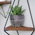Vägghylla Hanah Home Wr039 Valnöt Svart Massiv Gran Metall 60x23x15 cm - Vägghyllor - 8681875569728 - 2