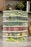 Förvaringslåda Set Hermia Gul Plast 7 Delar - Matlådor och matförvaringsbehållare - 8684283210138 - 3