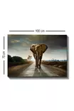 Canvastavla Wallity Flerfärgad Canvas 70x100 cm - Tavlor och ramar - 8681875612448 - 4