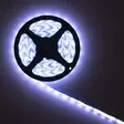 PNI LED-remsa 2835W, 300 lysdioder, kallvit 6000K, 860lm, dimbar, pekknapp, 230V strömförsörjning, silikon, 5 meter, IP65 - PNI produkter - 5949066532788 - 7