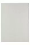 Matta Conceptum Rusticana 3106 Krämvit Polypropen 100x200 cm - Stora och medelstora mattor - 8684282489948 - 1