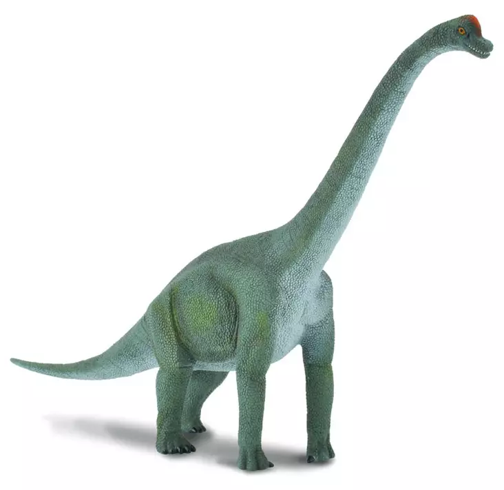 Brachiosaurus L CollectA - Djurfigurer - 4892900881218 - 1