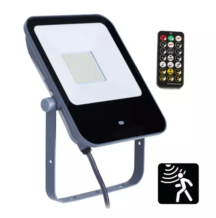 Led valonheitin 50W kauko-ohjattava - Strålkastare - 6438168110028 - 1