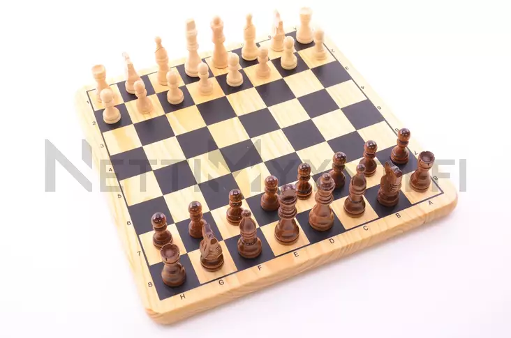 Schack DeLuxe - Spel - 6416739140018 - 1