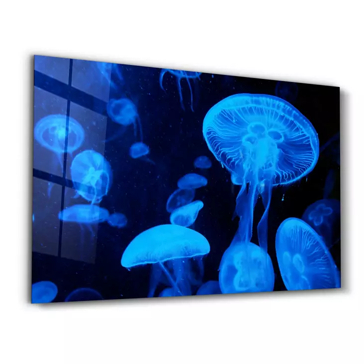 Glastavla Wallity Flerfärgad Glas 46x72 cm - Tavlor och ramar - 8684282939498 - 1