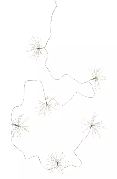 Kaisla 150 led  ip20 - Ljussmycken och ljusfigurer - 6435200288929 - 2