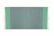 Fouta Mijölnir Grön 100% Bomull Hög Vattenabsorption 90x170 cm - Handdukar - 8683342756969 - 7