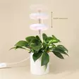 Kasvivalaisin Lumo Circle LED 10W 4 Living Collection - Ajastimella ja teleskooppivarrella - Hushållsprodukter - 6410416429229 - 4