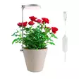 Kasvivalaisin Lumo Circle LED 10W 4 Living Collection - Ajastimella ja teleskooppivarrella - Hushållsprodukter - 6410416429229 - 1