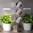Kasvivalaisin Lumo Circle LED 10W 4 Living Collection - Ajastimella ja teleskooppivarrella - Hushållsprodukter - 6410416429229 - 3