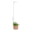 Kasvivalaisin Lumo Circle LED 10W 4 Living Collection - Ajastimella ja teleskooppivarrella - Hushållsprodukter - 6410416429229 - 7