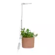 Kasvivalaisin Lumo Circle LED 10W 4 Living Collection - Ajastimella ja teleskooppivarrella - Hushållsprodukter - 6410416429229 - 2