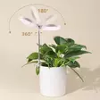 Kasvivalaisin Lumo Circle LED 10W 4 Living Collection - Ajastimella ja teleskooppivarrella - Hushållsprodukter - 6410416429229 - 5