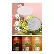 Kasvivalaisin Lumo Circle LED 10W 4 Living Collection - Ajastimella ja teleskooppivarrella - Hushållsprodukter - 6410416429229 - 6