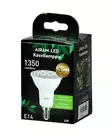 Led kasvilamppu Airam PAR20 835=20 - Lampor och lysrör - 6435200235299 - 2