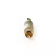 RCA Connector | Rak | Hane | Guldplaterad | Löda | Kabel input diameter: 7.0 mm | Metall | Svart | 10 st. | Kuvert - Ljudkontakter och pluggar - 5412810283279 - 15