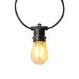 SmartLife Dekorativa Lampor | Festljus | Wi-Fi | Varm Vit | 10 LED's | 9.00 m | Android | Glödlampediameter: 45 mm - Dekorationsljus - 5412810417339 - 45