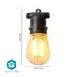 SmartLife Dekorativa Lampor | Festljus | Wi-Fi | Varm Vit | 10 LED's | 9.00 m | Android | Glödlampediameter: 45 mm - Dekorationsljus - 5412810417339 - 55