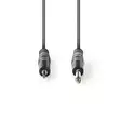 Stereoljudkabel | 2x 6.35 mm Hane | 3.5 mm Hane | Nickelplaterad | 3.00 m | Rund | Mörkgrå | Kartonghylsa - Ljudkablar - 5412810295289 - 10