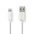 Lightning Kabel | USB 2.0 | Apple Lightning, 8-stifts | USB-A Hane | 480 Mbps | Nickelplaterad | 2.00 m | Rund | PVC | Vit | Låda - Blixtkablar - 5412810288779 - 2
