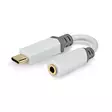 USB-C Adapter | USB 2.0 | USB-C Hane | 3.5 mm Hona | 0.10 m | Rund | Guldplaterad | PVC | Vit | Låda - Dator och nätverk - 5412810336609 - 40