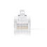 RJ45-kontakt | Hane | Solid UTP CAT5e | Rak | Guldplaterad | 10 st. | Polycarbonate | Transparent | Låda - Dator och nätverk - 5412810289349 - 3