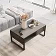 Soffbord Hanah Home Ml34 Rg Silver Spånskiva 100x44,4x59,7 cm - Soffbord - 8683342772129 - 3