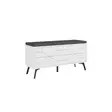 Skoskåp Hanah Home Dune Bench Vit Spånskiva 107x55x35 cm - Skoskåp - 8684282587019 - 8