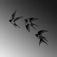 Väggdekor Metall Wallity Swallows Svart Metall 21x27 cm 22x22 cm 20x25 cm 3 Delar - Dekorationer, prydnadsföremål - 8683342941099 - 5