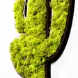 Väggdekor Trä Wallity Cactus Grön Vit MDF 34x1,6x45 cm - Dekorationer, prydnadsföremål - 8683342206709 - 4