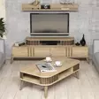 Vardagsrumsmöbelset Hanah Home Eylül Ek Spånskiva 168x51,6x39 cm - Möbler - 8681875207859 - 2