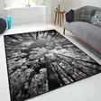 Matta Conceptum Els1902 Flerfärgad Sammet 80x120 cm - Små mattor och gångmattor - 8681875964189 - 2