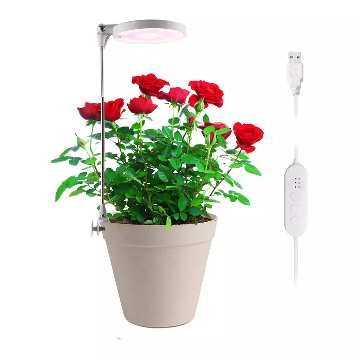 Kasvivalaisin Lumo Circle LED 10W 4 Living Collection - Ajastimella ja teleskooppivarrella - Hushållsprodukter - 6410416429229 - 1