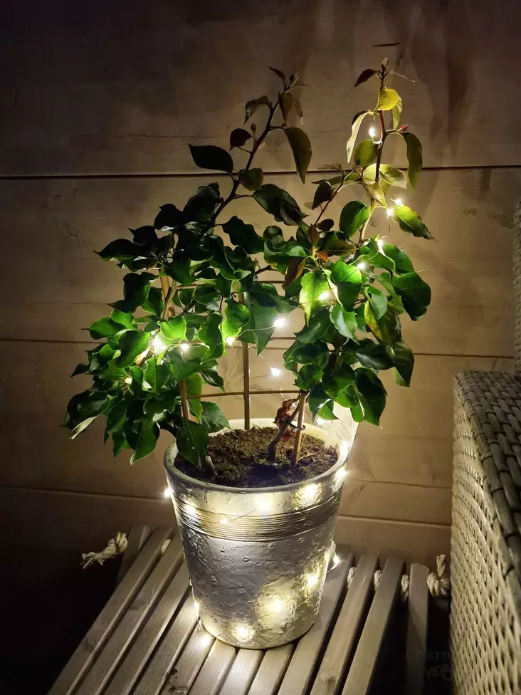 Valovaijeri 80 led IP44 - Dekorationsljus - 8719202586299 - 1