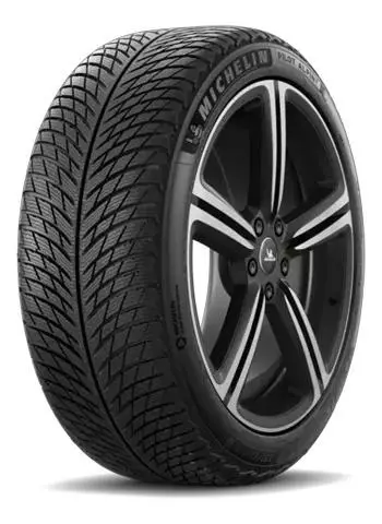 Michelin Pilot Alpin 5 Nd0 315/35R20 Friktionsdäck - 20-tums - TO-196529 - 1