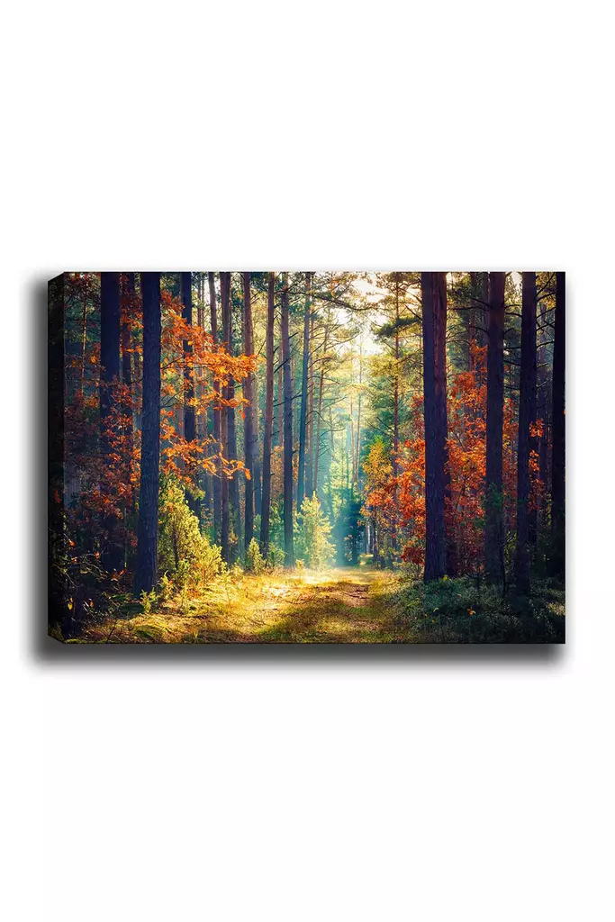 Canvastavla Wallity Flerfärgad Canvas 50x70 cm - Tavlor och ramar - 8681875610529 - 1