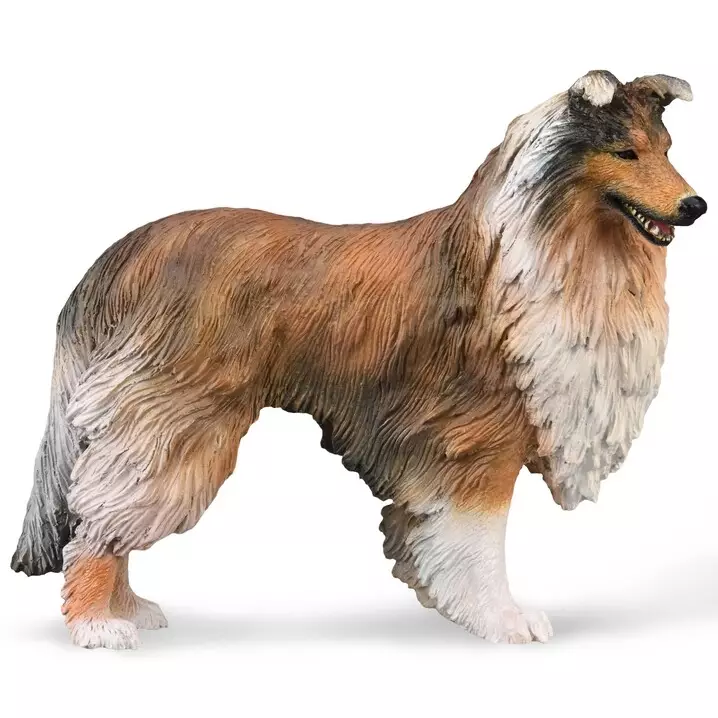 Pitkäkarvainen Collie L CollectA - Djurfigurer - 4892900889979 - 1